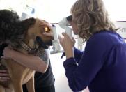 Eye examination