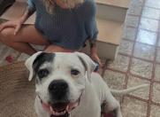 &Uacute;ltimas im&aacute;genes